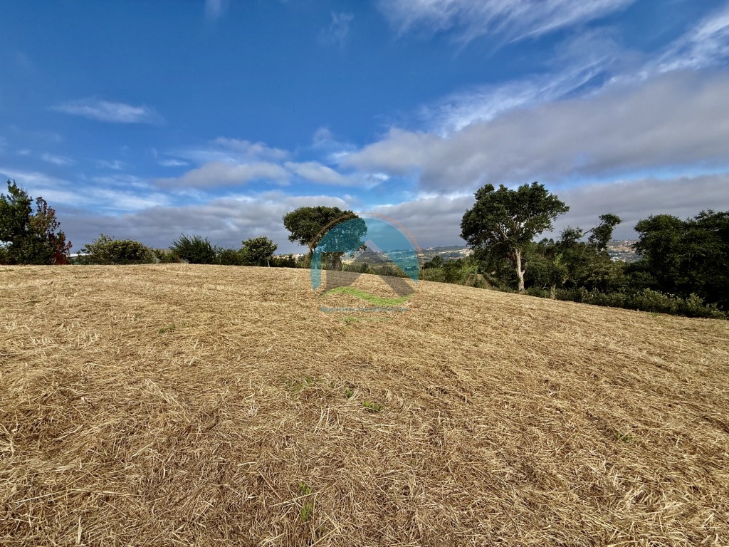Terreno com vista panorâmica de campo - a 15 minutos de São Martinho do Porto — Photo 9
