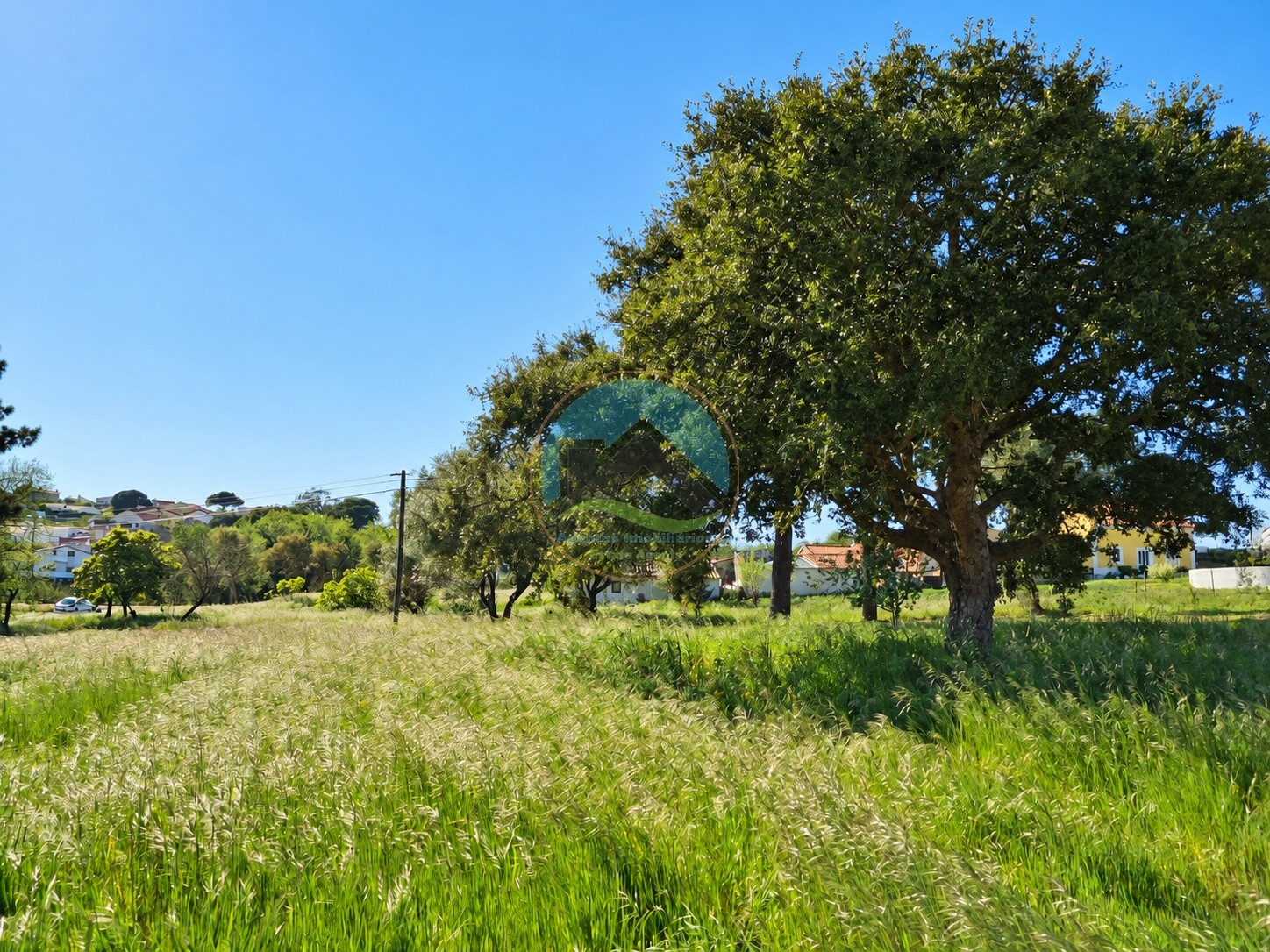 Terreno ubicado cerca de la laguna de Óbidos — Photo 9