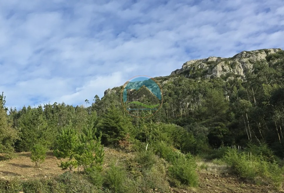 Terreno 7.143 m² em Pragança, Cadaval — Photo 3