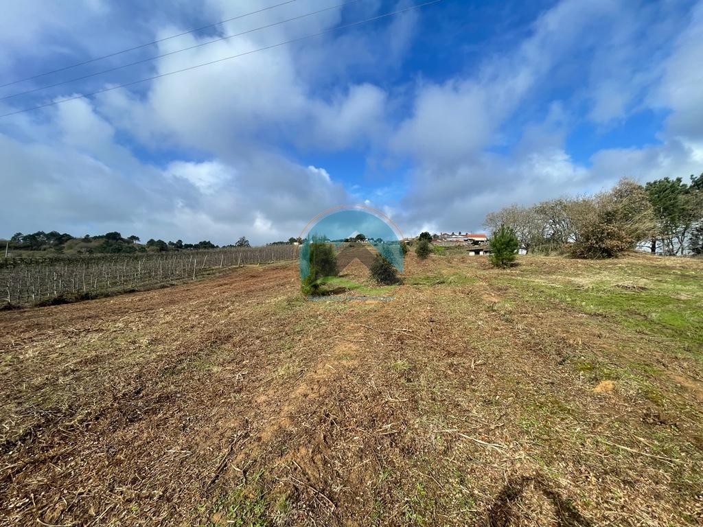 Terreno com projeto para 2 moradias e vista deslumbrante para — Photo 1