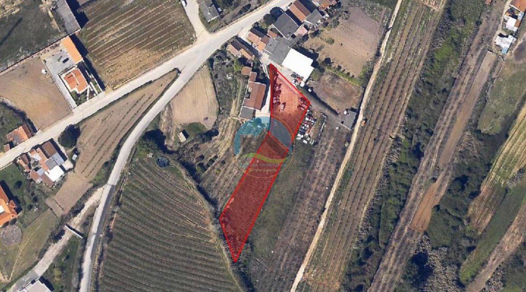 Terreno de 2.480m2 para construção - Usseira, Óbidos — Photo 3