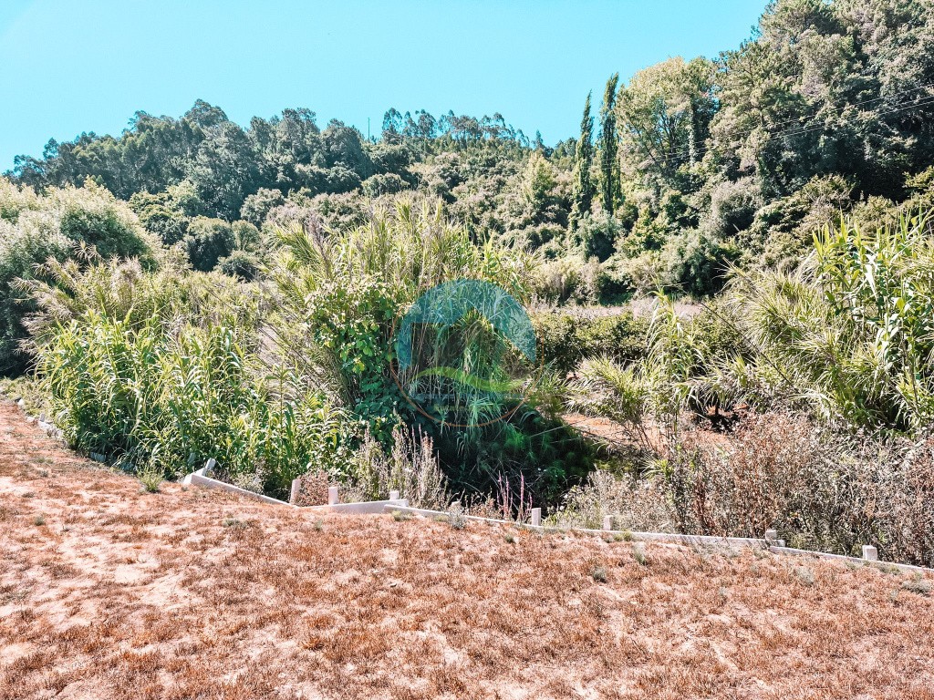 Haus mit Pool, Garage und Blick auf die Natur - Vimeiro, Alcobaça — Photo 8