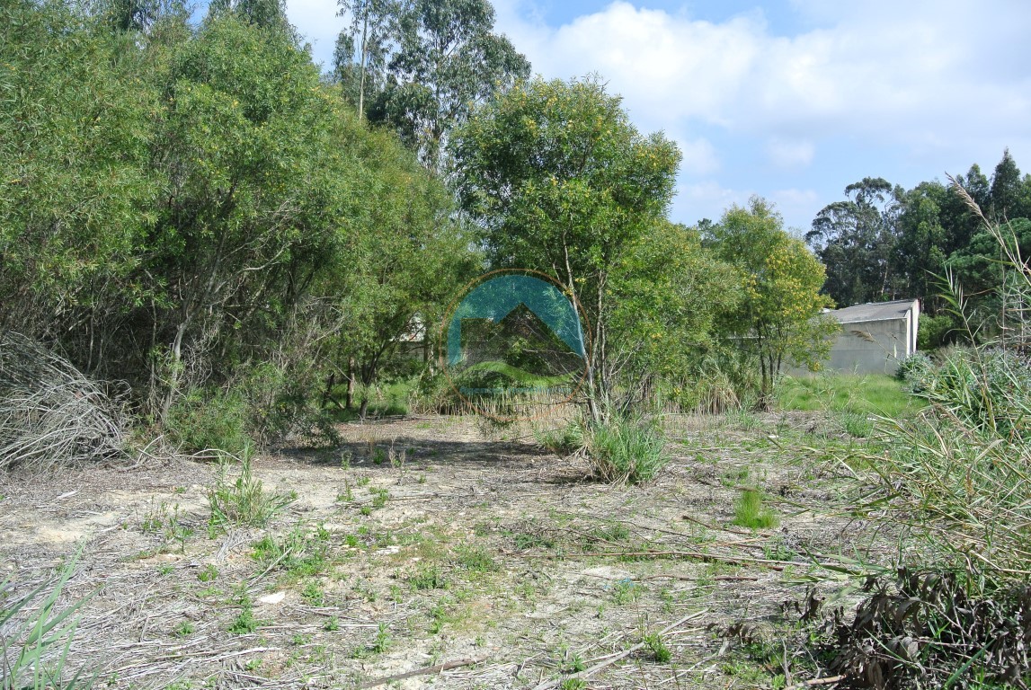 Terrain constructible à Alto Nobre, Nadadouro — Photo 8