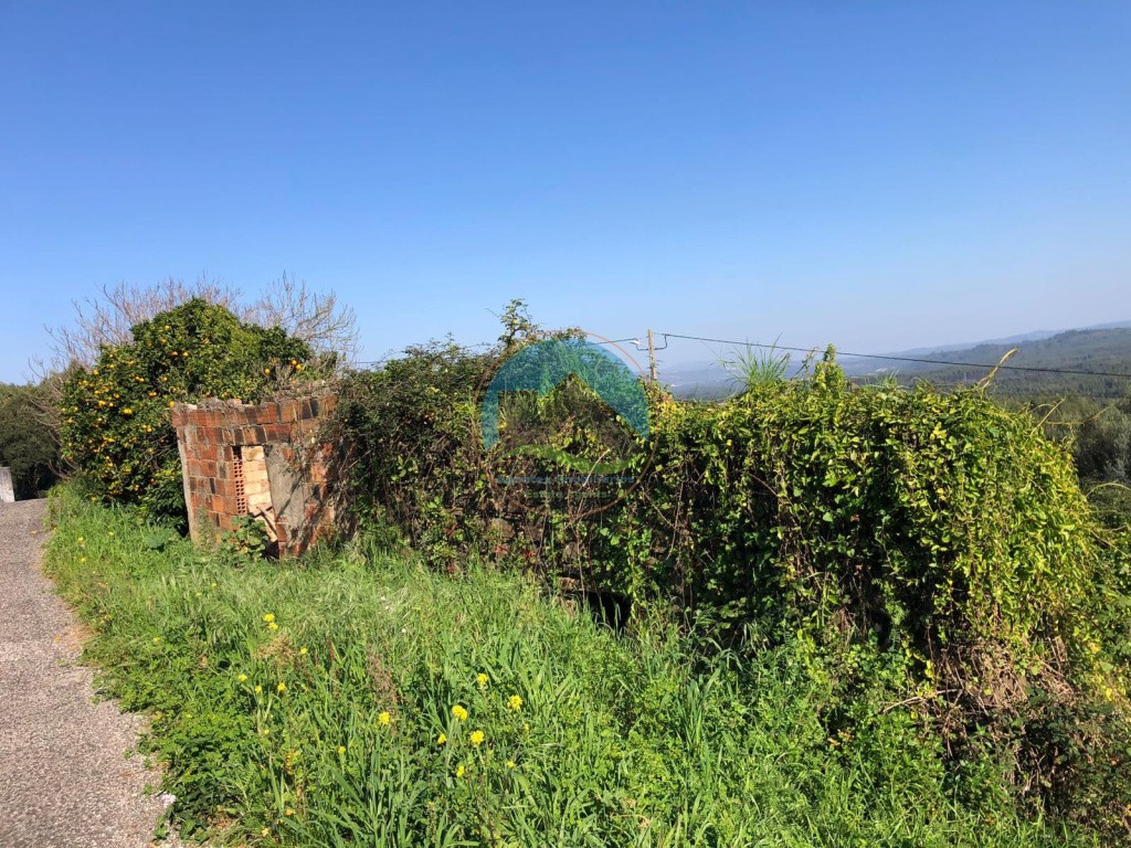 Casa antiga, adega, arrecadações e terreno- Alcobertas, Rio Maior — Photo 10