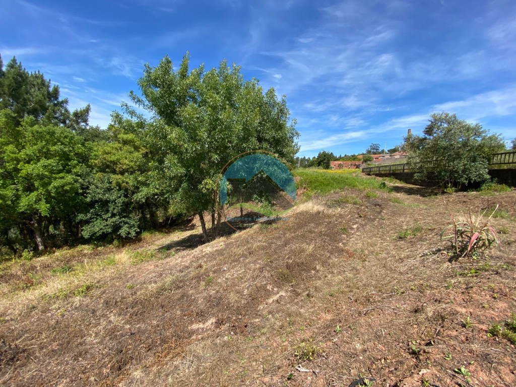 Terreno com 14.993 m2 - Alvorninha, Caldas da Rainha — Foto 15