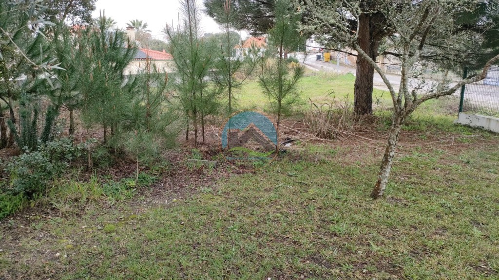 Lote de terreno para construção com 829m2 - Nadadouro, Caldas da Rainha — Photo 8