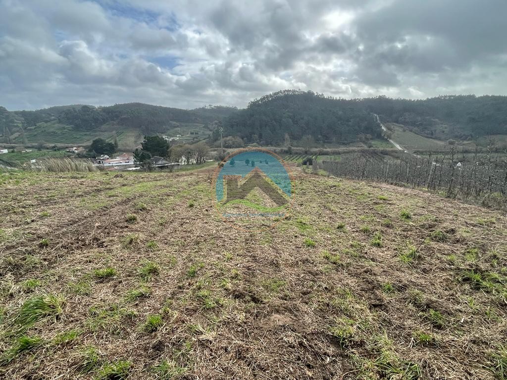 Terreno com projeto para 2 moradias e vista deslumbrante para — Photo 9
