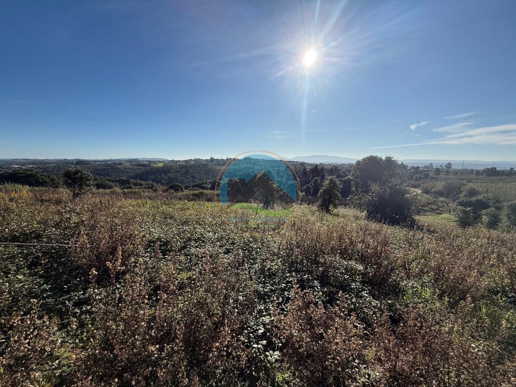Terreno de 2.480m2 para construção - Usseira, Óbidos — Photo 18