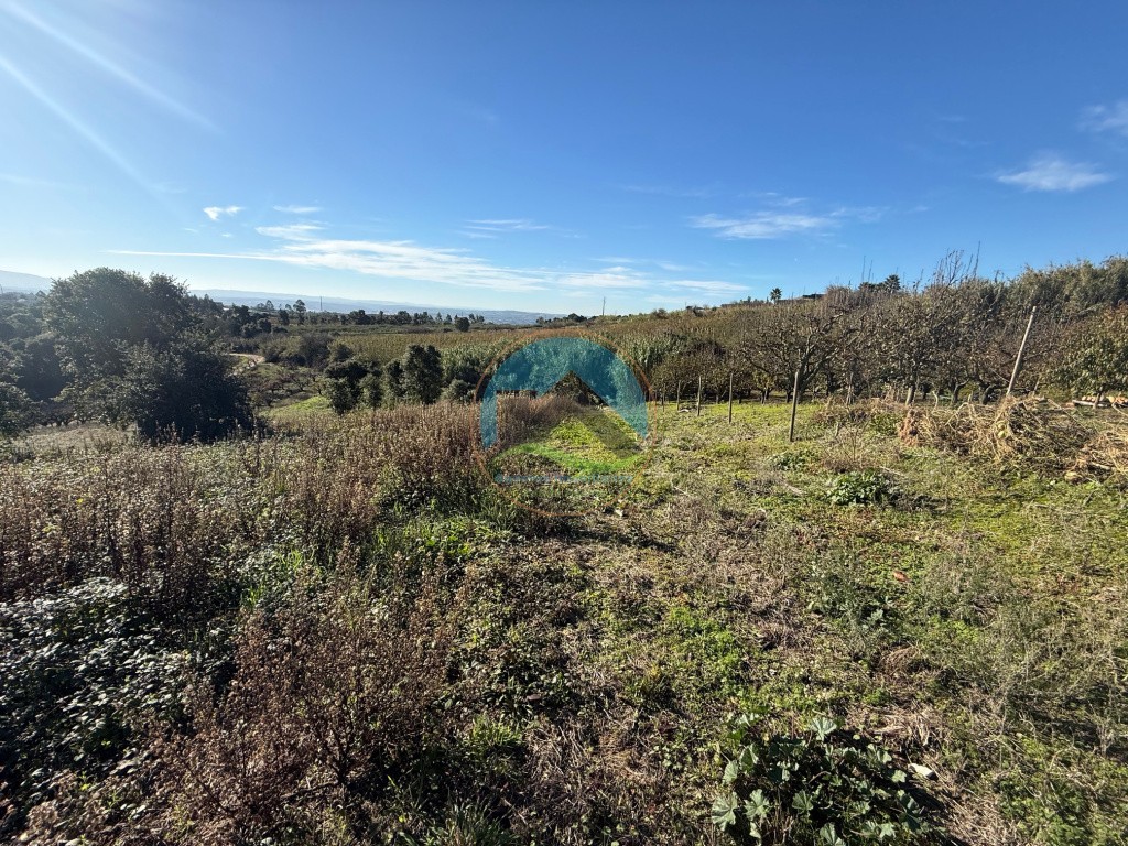 Terreno de 2.480m2 para construção - Usseira, Óbidos — Photo 11