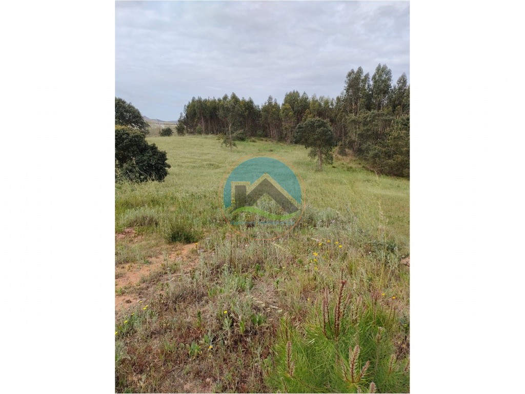 Terreno com 21.160m2 - a 10 minutos de Torres Vedras — Photo 16