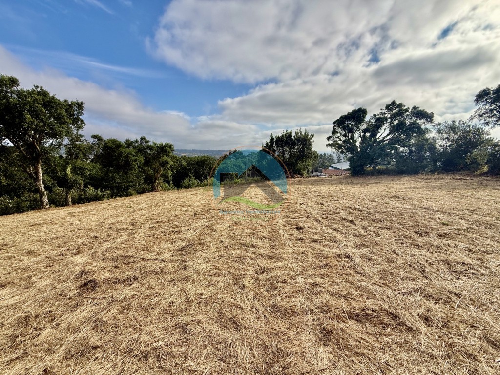 Terreno com vista panorâmica de campo - a 15 minutos de São Martinho do Porto — Photo 6