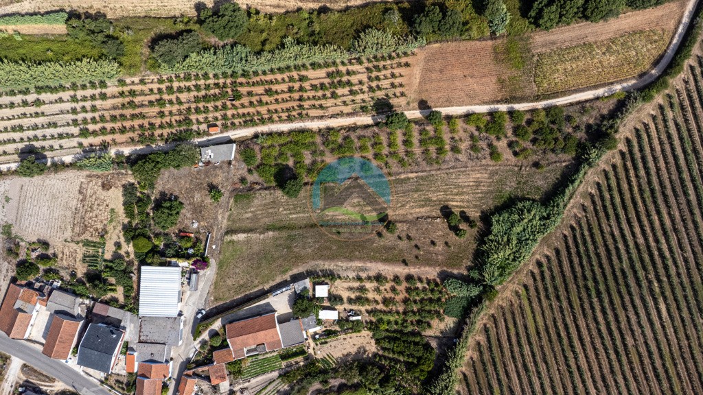 Terreno de 2.480m2 para construção - Usseira, Óbidos — Photo 24