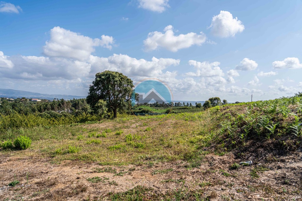 Terreno de 2.480m2 para construção - Usseira, Óbidos — Photo 10