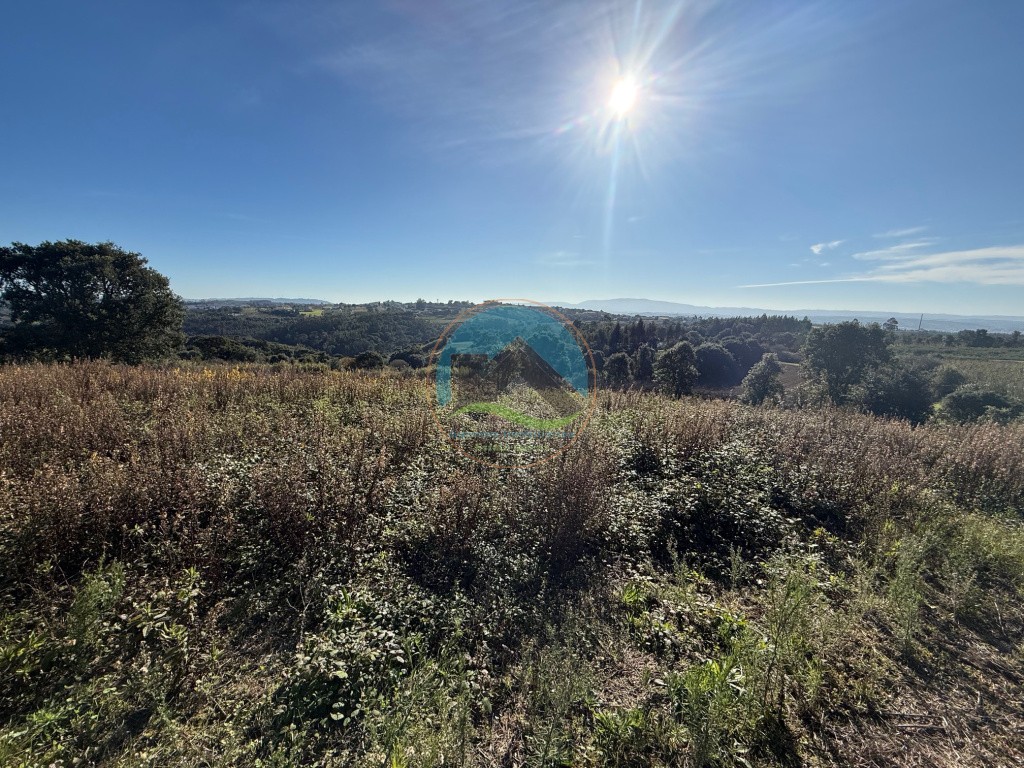 Terreno de 2.480m2 para construção - Usseira, Óbidos — Photo 21