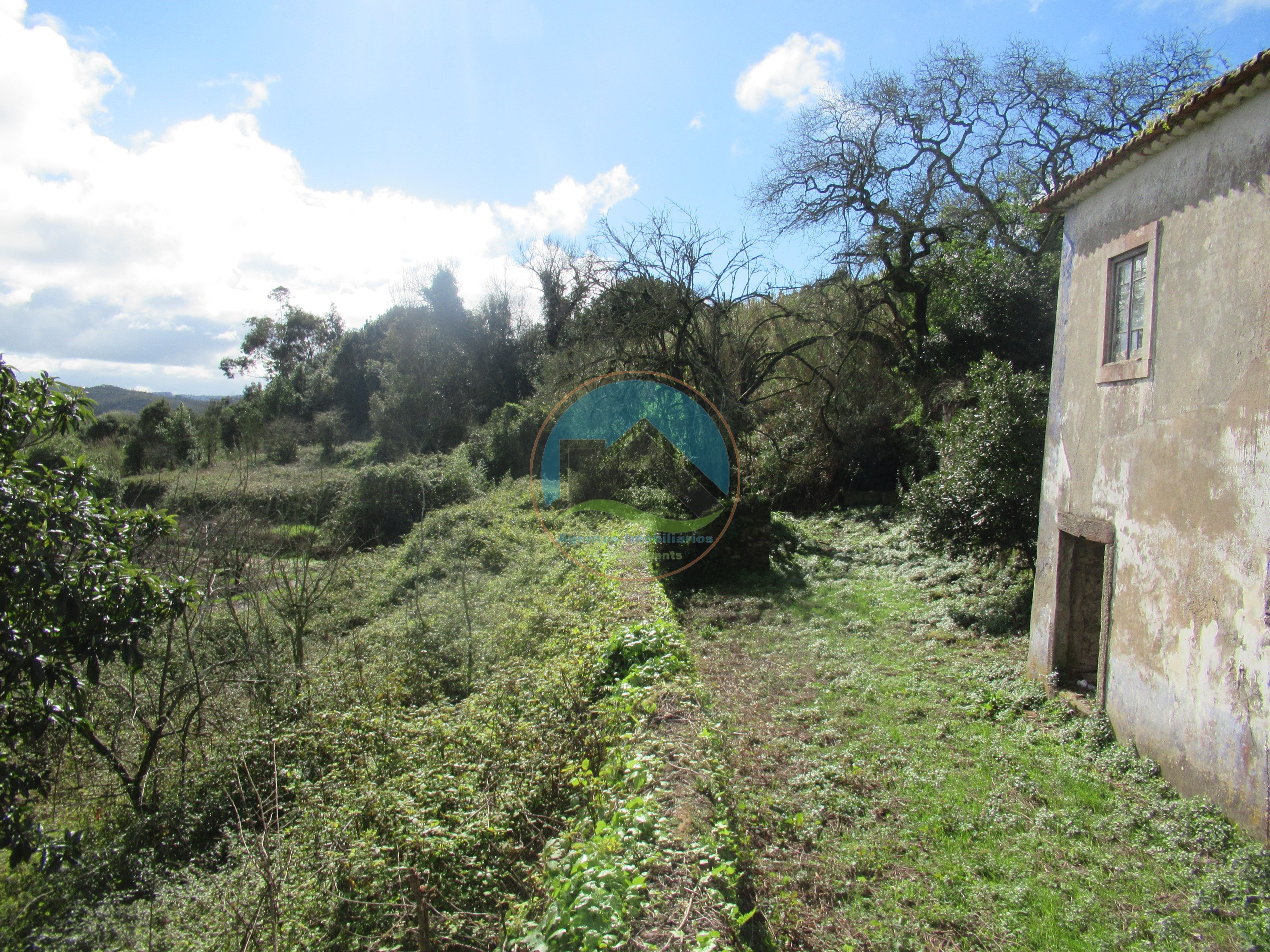 Quintinha com 23.000 m² e moradia em ruína - São Gregório, Caldas — Photo 25