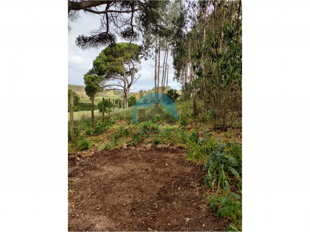 Terreno com 21.160m2 - a 10 minutos de Torres Vedras — Photo 8