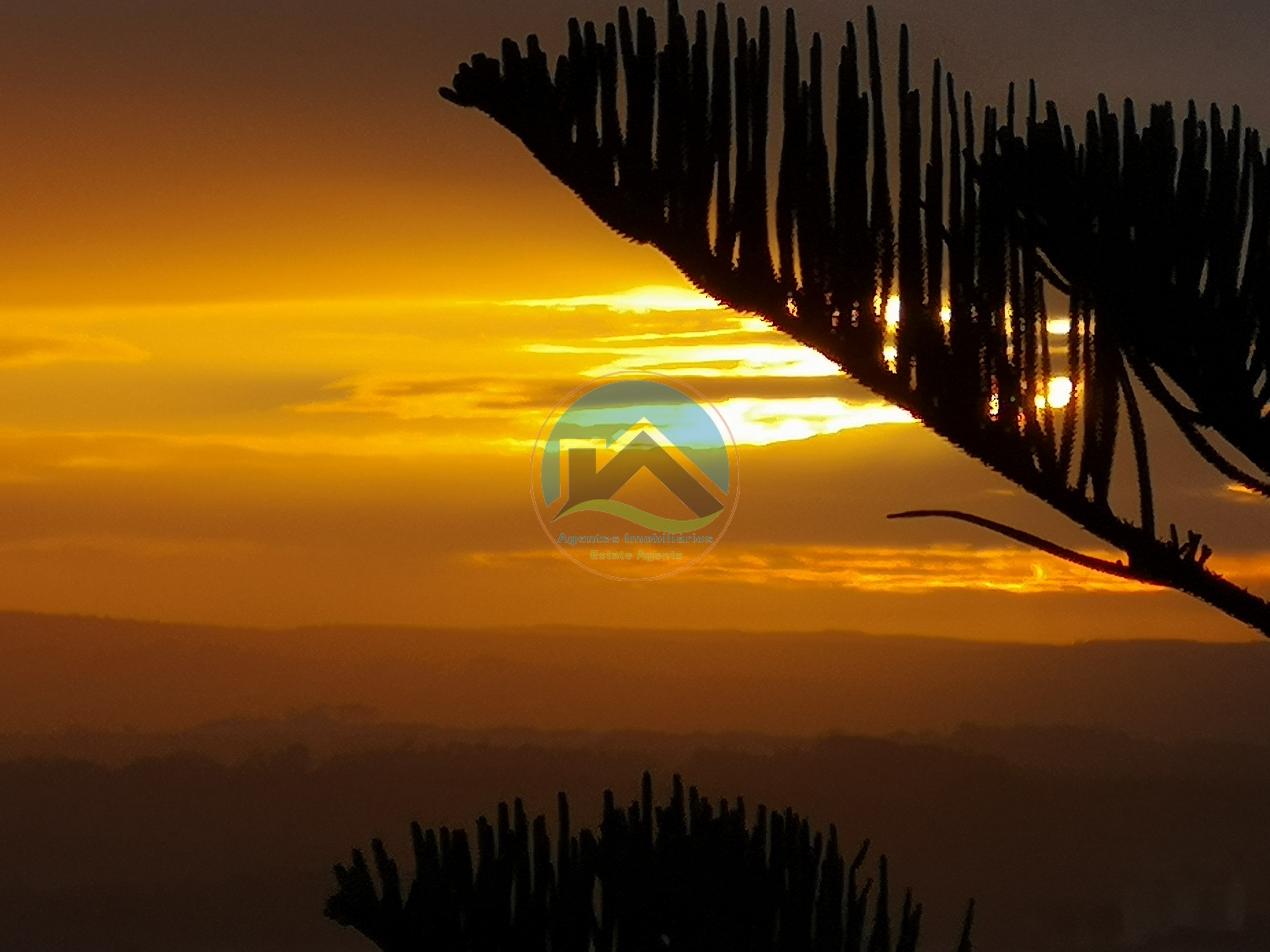 Moradia Isolada de Excelência com Vistas Panorâmicas nas Caldas — Photo 2