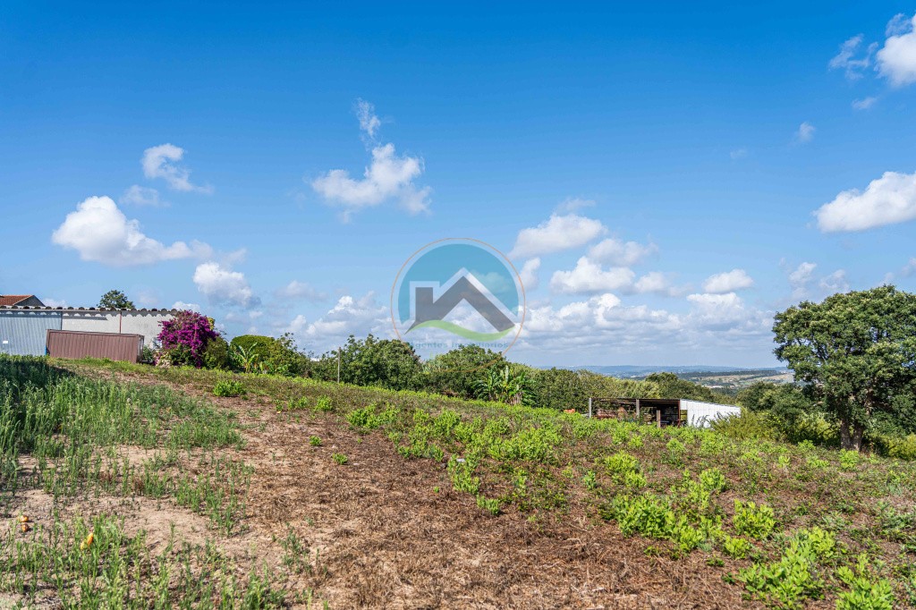 Terreno de 2.480m2 para construção - Usseira, Óbidos — Photo 28