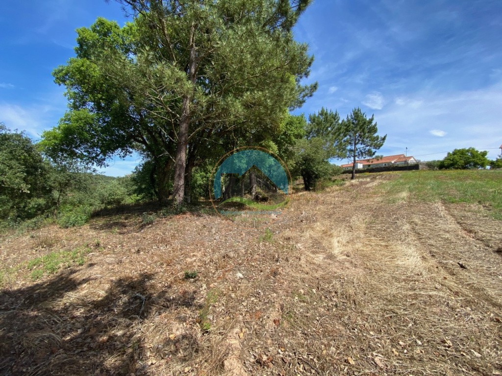 Terreno com 14.993 m2 - Alvorninha, Caldas da Rainha — Foto 11