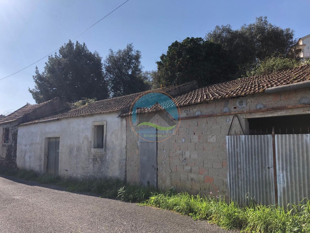 Casa antiga, adega, arrecadações e terreno- Alcobertas, Rio Maior — Photo 6